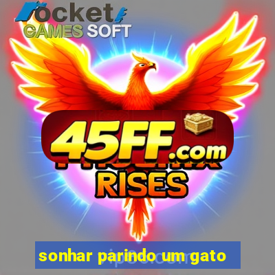 sonhar parindo um gato